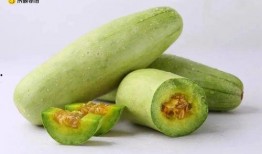 吃瓜有多好吃,探寻瓜果的甜蜜诱惑