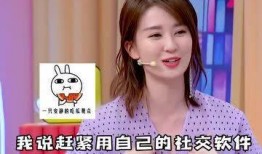 明星吃瓜去哪吃,揭秘明星们热衷的美食聚集地