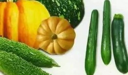 吃瓜的易先生,揭秘“吃瓜群众”背后的易先生传奇