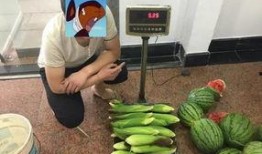 梦见偷了瓜吃瓜