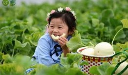 吃瓜的浅笑,揭秘娱乐圈幕后故事