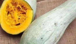 种l瓜吃丑瓜怎样表达,揭秘农业生产的意外之喜