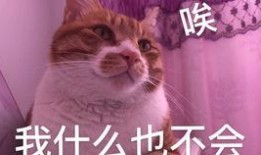 小白三兄弟吃瓜,小白三兄弟的甜蜜瓜趣