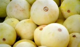 道具吃瓜梨,揭秘神秘道具背后的神奇力量