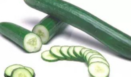 各个主播吃树叶瓜,奇趣尝鲜，绿色美食之旅