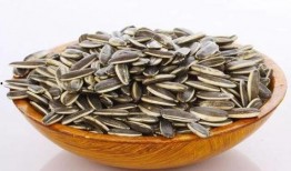 吃瓜嚼瓜子,揭秘吃瓜嚼瓜子的趣味时光