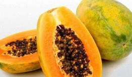 梦梦吃羊山瓜,探寻美食记忆之旅