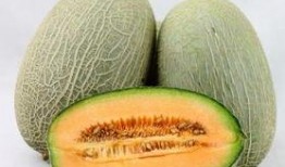 感冒可以吃哈密瓜吗,哈密瓜是良伴还是禁忌？
