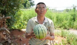 赤壁吃瓜群众,吃瓜群众视角下的历史大戏