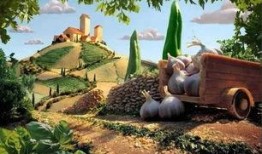 梦梦吃羊山瓜,探寻美食记忆之旅