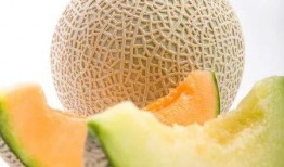 山猪吃哈密瓜,一场自然与美食的邂逅