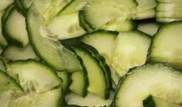 小瓜同学吃美食,味蕾的狂欢与回忆的交织