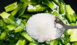 广东水利吃瓜,吃瓜群众揭秘水利建设背后的故事