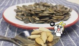 吃瓜嚼瓜子,揭秘吃瓜嚼瓜子的趣味时光