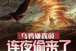 吃瓜小说全部作品,穿越时空的甜蜜瓜果盛宴