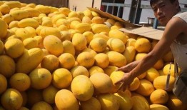 华落吃瓜,揭秘娱乐圈幕后故事