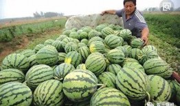 就知道吃瓜,揭秘娱乐圈背后的那些事儿