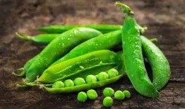 小瓜吃豆,趣味横生的冒险之旅