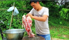 牛吃大瓜,田园生活画卷展