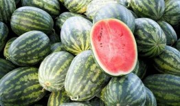 吃瓜得瓜图片,揭秘网络流行语的趣味与哲理