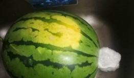 吃瓜吐种,揭秘网络舆论背后的真实情感