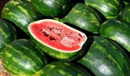 吃瓜得瓜图片,揭秘网络流行语的趣味与哲理