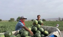 吃瓜清河,揭秘网络热点的背后故事