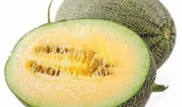 吃瓜啥时候,揭秘娱乐圈幕后真相