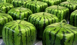 火热.中国吃瓜,吃瓜群众的狂欢盛宴