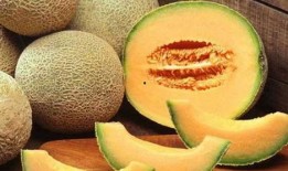 多恩吃哈密瓜,一场味蕾的旅行