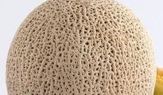 什么季节吃哈密瓜最好,哈密瓜的黄金时节