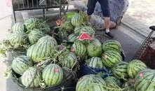 长沙公社吃瓜事件,一场网络热议的社区冲突揭秘