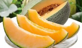 瓜州在哪儿吃瓜,探寻中国瓜乡的甜蜜之旅