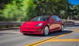 博兴特斯拉吃瓜,揭秘背后真相与争议