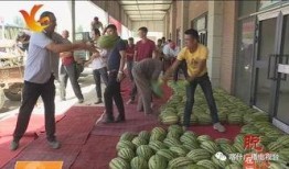 从化吃瓜,探寻岭南特色美食之旅