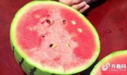 惊喜吃瓜,一场味蕾与惊喜的邂逅