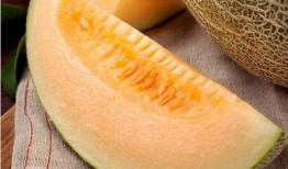 观雨吃瓜,一场别开生面的夏日盛宴