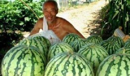 单方面吃瓜,揭秘娱乐圈背后的真相与八卦