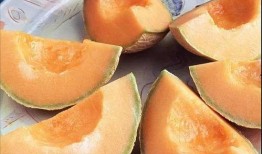 吃货大飞吃哈密瓜干,甜蜜滋味尽享舌尖盛宴