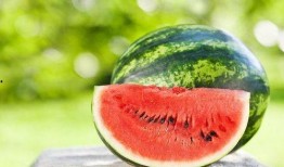 吃瓜有多好吃,探寻瓜果的甜蜜诱惑
