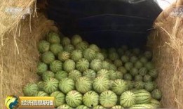 吃瓜群众在等大瓜,揭秘大瓜背后的故事