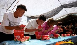 夏日活动吃瓜比赛图片,吃瓜大赛欢乐瞬间回顾