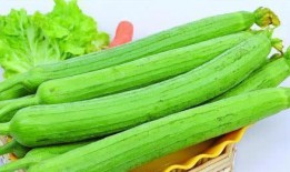 吃三白瓜过敏,探寻过敏源与应对策略