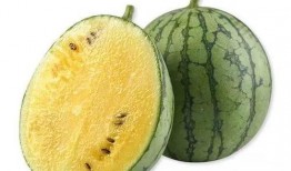 极极吃瓜,揭秘娱乐圈背后的那些事儿