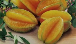 财经和南理吃瓜,揭秘校园财经圈的那些事儿