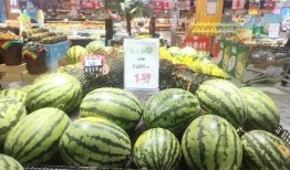 木兮里吃瓜节,欢乐盛宴，共享瓜果时光