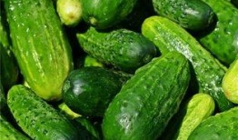 梦见偷了瓜吃瓜