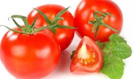 豪门读心吃瓜番茄,读心吃瓜，揭秘番茄背后的豪门秘闻