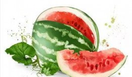 吃瓜群众做美食视频,吃瓜群众教你轻松制作家常美食