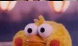 吃瓜主播大哥,揭秘娱乐圈幕后故事